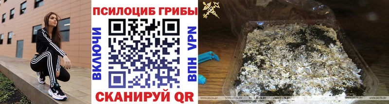 Псилоцибиновые грибы ЛСД  Купить где  Котово 